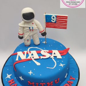 nasa cake